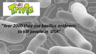 “Year 2000 they use bacillus anthracis
to kill people in USA”
 