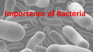 Importance of Bacteria
 