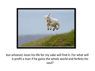but whoever loses his life for my sake will find it. For what will
    it profit a man if he gains the whole world and forfeits his
                                 soul?
 