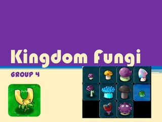 Kingdom Fungi
Group 4
 