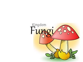 Fungi
Kingdom
 