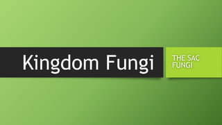Kingdom Fungi THE SAC
FUNGI
 