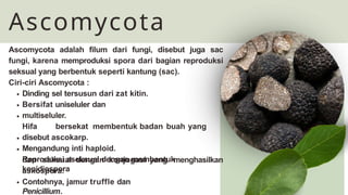 Jamur Multiseluler klasifikasi kingdom fungi jamur kelas 10 .pptx