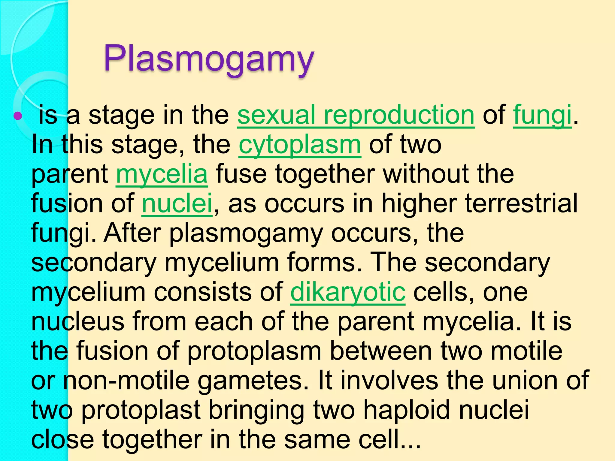 Plasmogamy
    is a stage in the sexual reproduction of fungi.
    In this stage, the cytoplasm of two
    parent mycelia fuse together without the
    fusion of nuclei, as occurs in higher terrestrial
    fungi. After plasmogamy occurs, the
    secondary mycelium forms. The secondary
    mycelium consists of dikaryotic cells, one
    nucleus from each of the parent mycelia. It is
    the fusion of protoplasm between two motile
    or non-motile gametes. It involves the union of
    two protoplast bringing two haploid nuclei
    close together in the same cell...
 