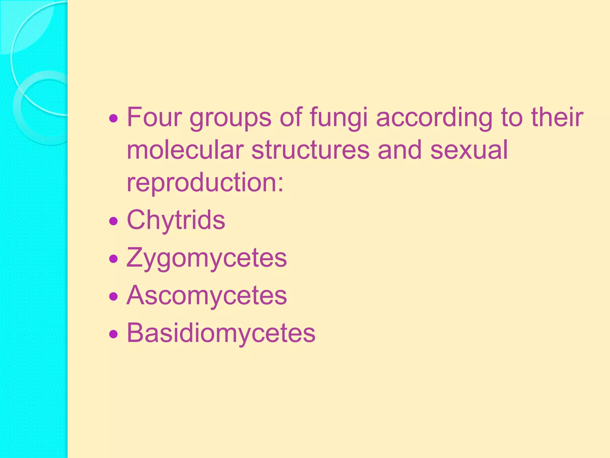  Four groups of fungi according to their
  molecular structures and sexual
  reproduction:
 Chytrids
 Zygomycetes
 Ascomycetes
 Basidiomycetes
 