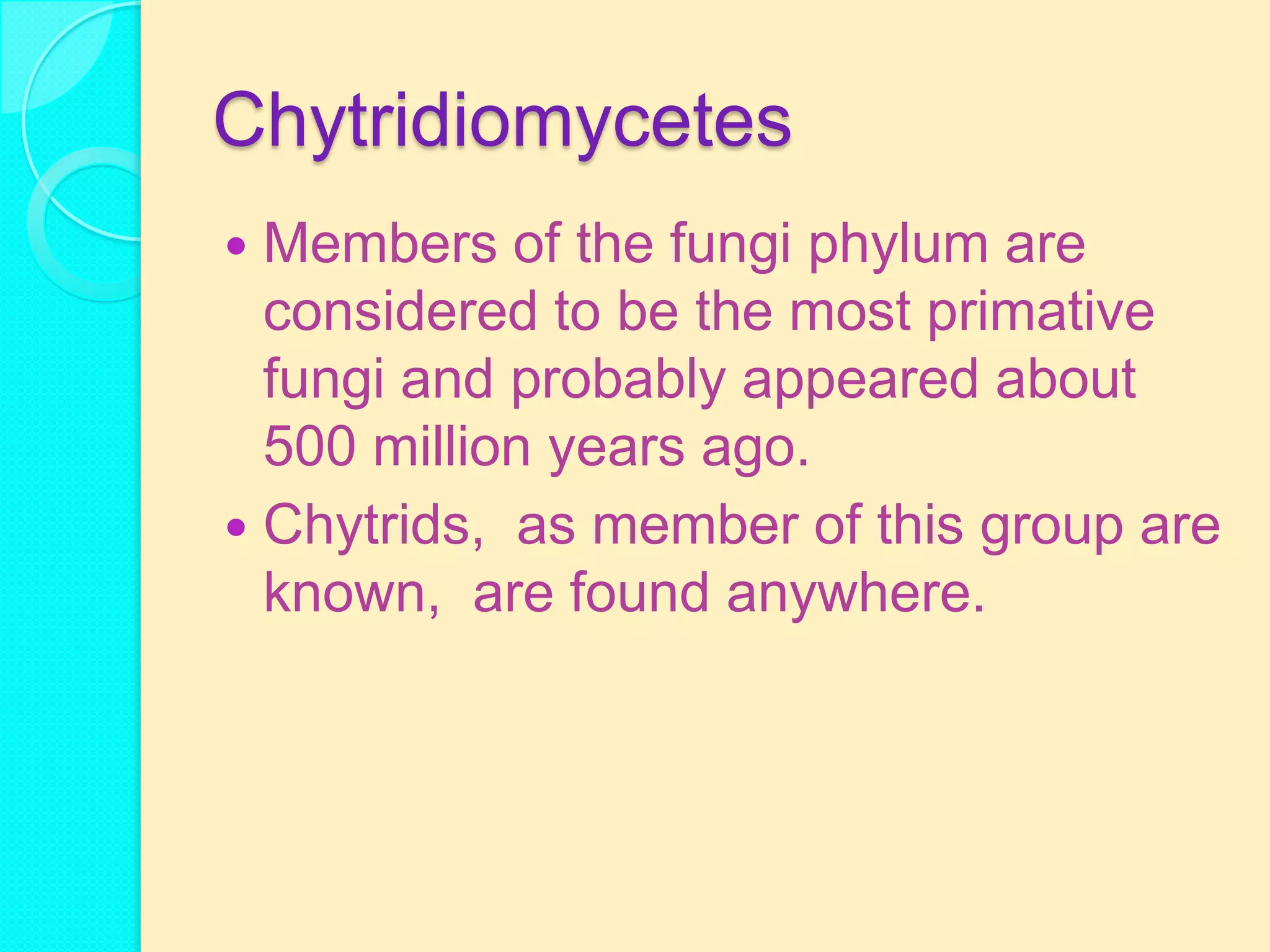 Chytridiomycetes
 Members of the fungi phylum are
  considered to be the most primative
  fungi and probably appeared about
  500 million years ago.
 Chytrids, as member of this group are
  known, are found anywhere.
 