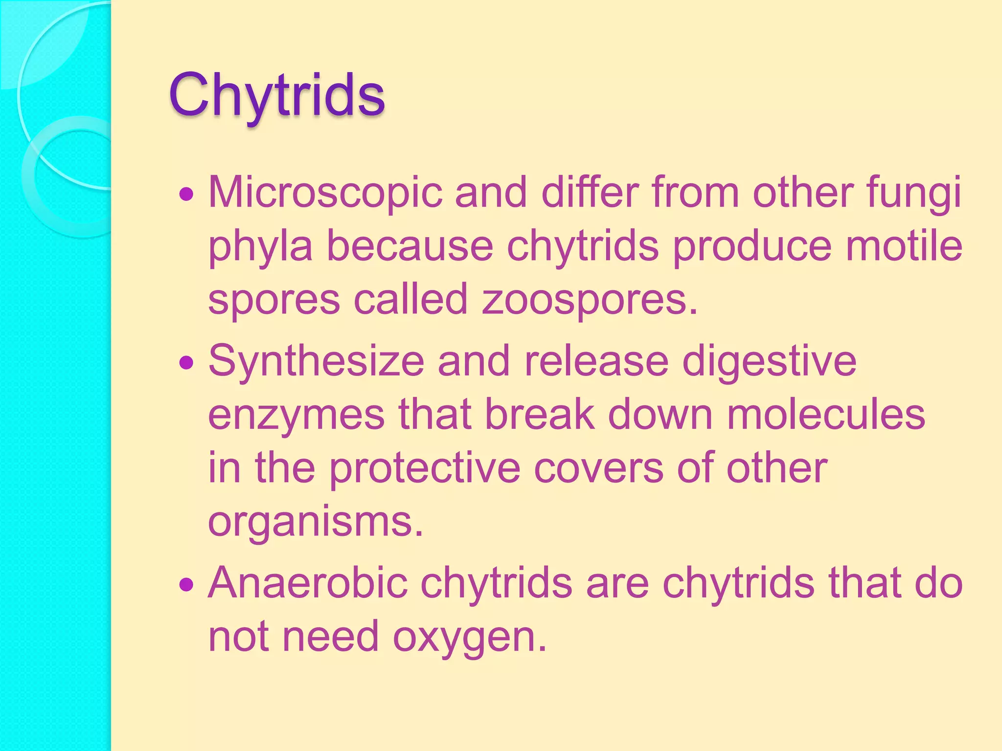 Chytrids
 Microscopic and differ from other fungi
  phyla because chytrids produce motile
  spores called zoospores.
 Synthesize and release digestive
  enzymes that break down molecules
  in the protective covers of other
  organisms.
 Anaerobic chytrids are chytrids that do
  not need oxygen.
 