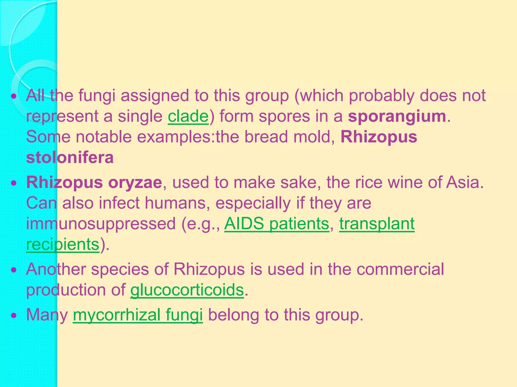  All the fungi assigned to this group (which probably does not
  represent a single clade) form spores in a sporangium.
  Some notable examples:the bread mold, Rhizopus
  stolonifera
 Rhizopus oryzae, used to make sake, the rice wine of Asia.
  Can also infect humans, especially if they are
  immunosuppressed (e.g., AIDS patients, transplant
  recipients).
 Another species of Rhizopus is used in the commercial
  production of glucocorticoids.
 Many mycorrhizal fungi belong to this group.
 