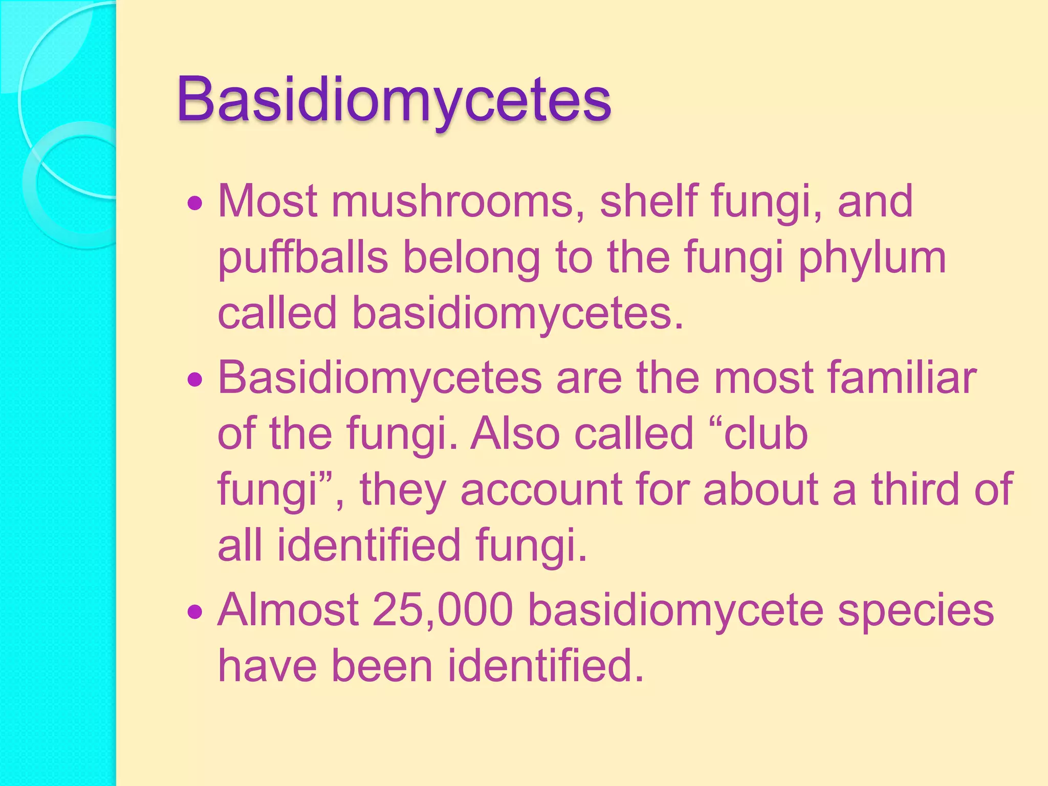 Basidiomycetes
 Most mushrooms, shelf fungi, and
  puffballs belong to the fungi phylum
  called basidiomycetes.
 Basidiomycetes are the most familiar
  of the fungi. Also called ―club
  fungi‖, they account for about a third of
  all identified fungi.
 Almost 25,000 basidiomycete species
  have been identified.
 
