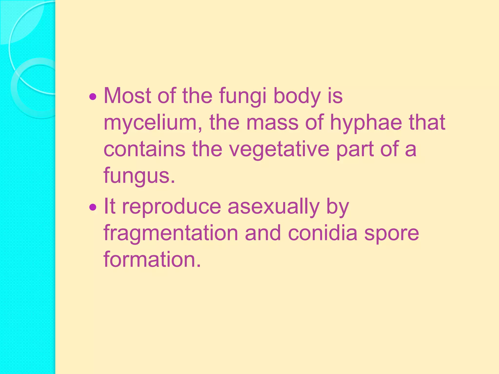  Most of the fungi body is
  mycelium, the mass of hyphae that
  contains the vegetative part of a
  fungus.
 It reproduce asexually by
  fragmentation and conidia spore
  formation.
 