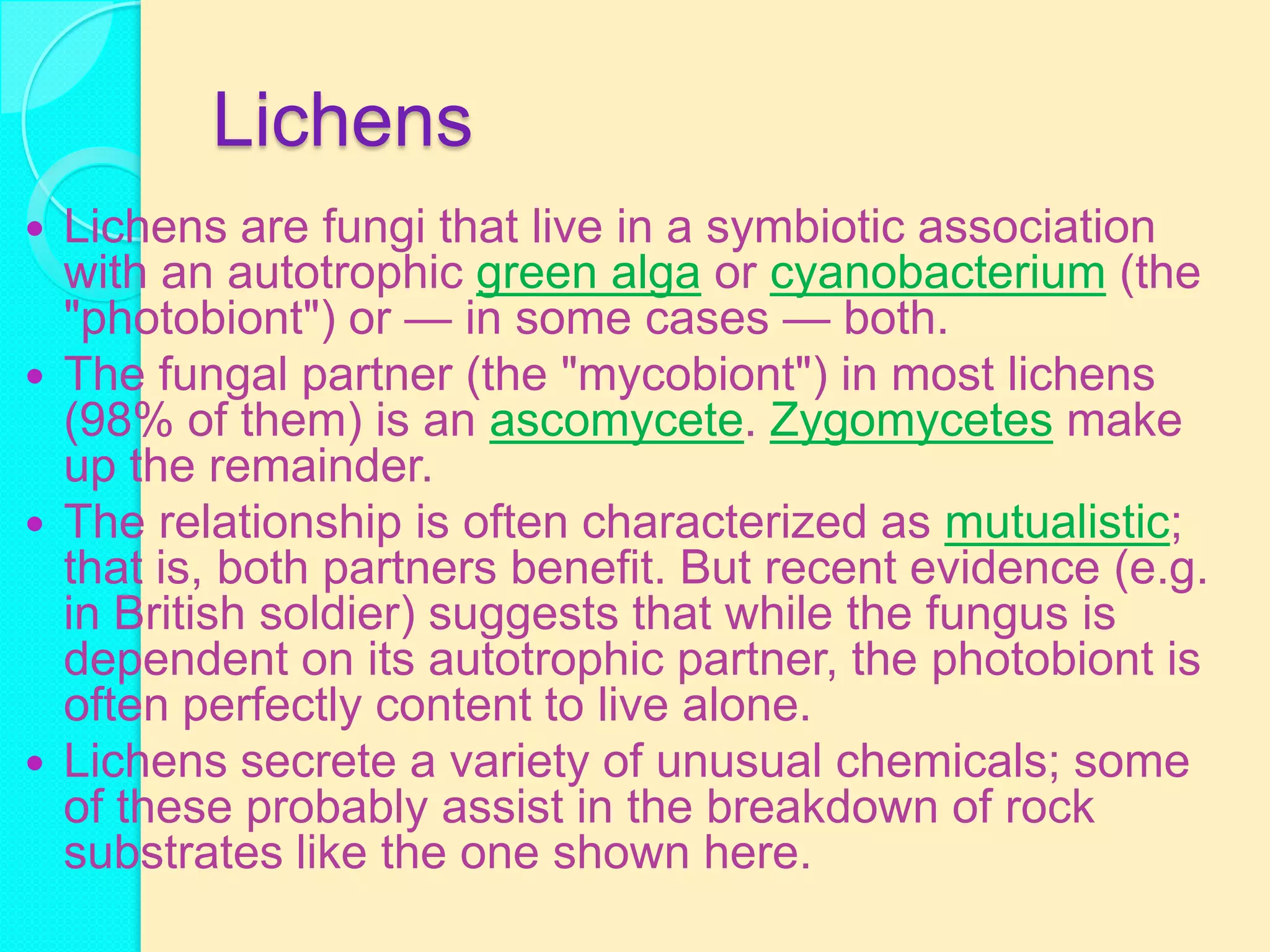 Lichens
 Lichens are fungi that live in a symbiotic association
  with an autotrophic green alga or cyanobacterium (the
  "photobiont") or — in some cases — both.
 The fungal partner (the "mycobiont") in most lichens
  (98% of them) is an ascomycete. Zygomycetes make
  up the remainder.
 The relationship is often characterized as mutualistic;
  that is, both partners benefit. But recent evidence (e.g.
  in British soldier) suggests that while the fungus is
  dependent on its autotrophic partner, the photobiont is
  often perfectly content to live alone.
 Lichens secrete a variety of unusual chemicals; some
  of these probably assist in the breakdown of rock
  substrates like the one shown here.
 