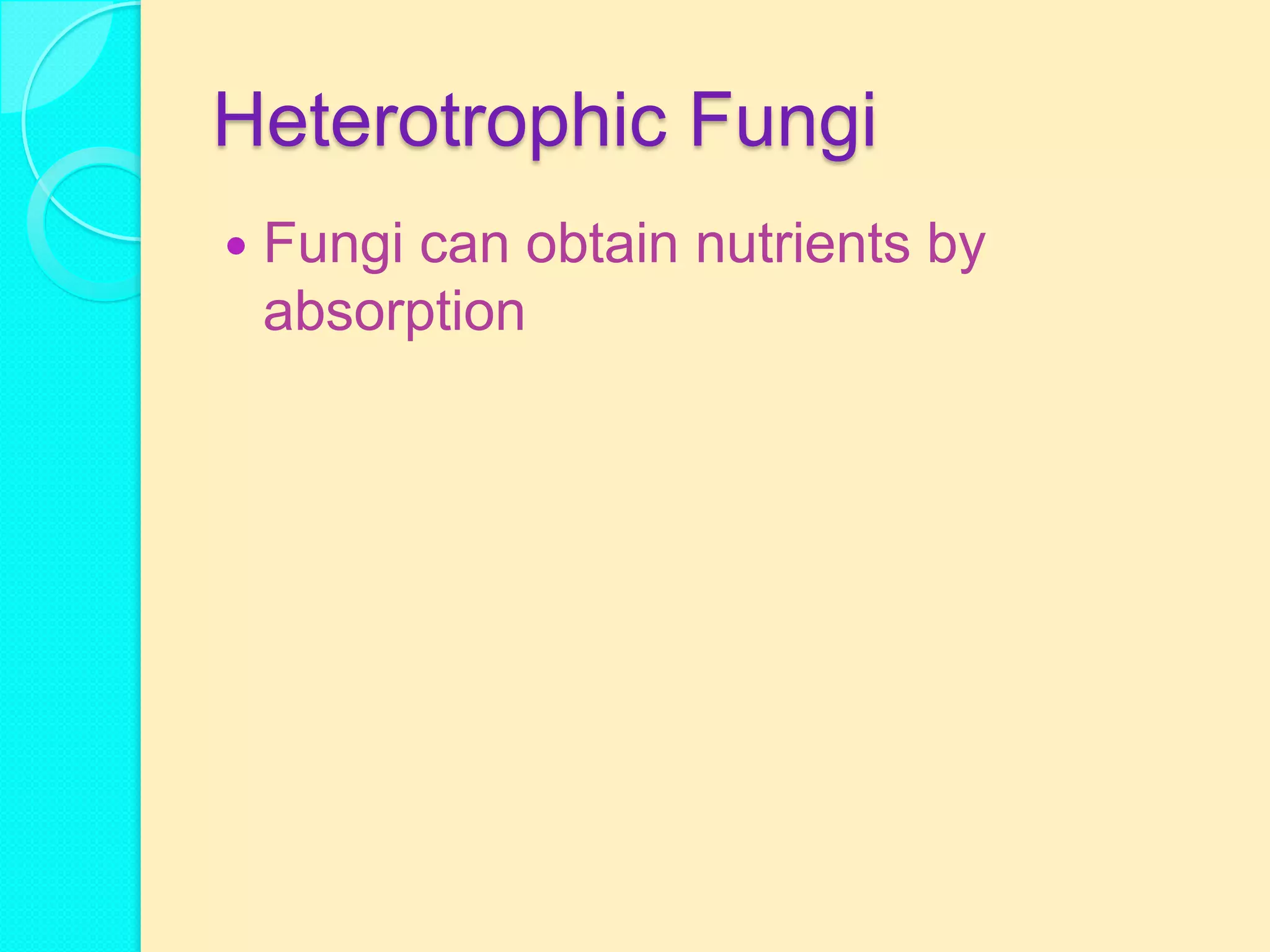 Heterotrophic Fungi
   Fungi can obtain nutrients by
    absorption
 