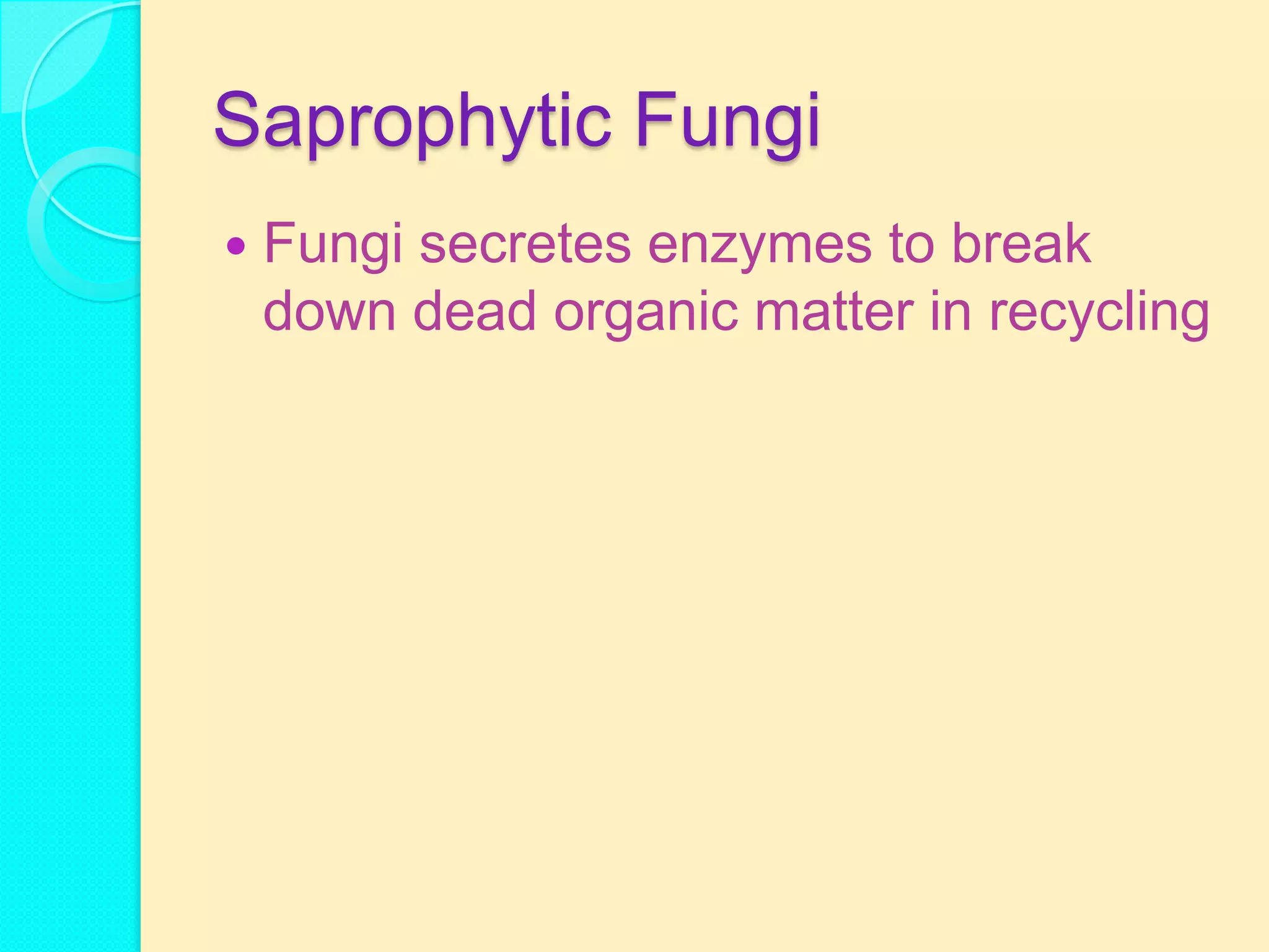 Saprophytic Fungi
   Fungi secretes enzymes to break
    down dead organic matter in recycling
 