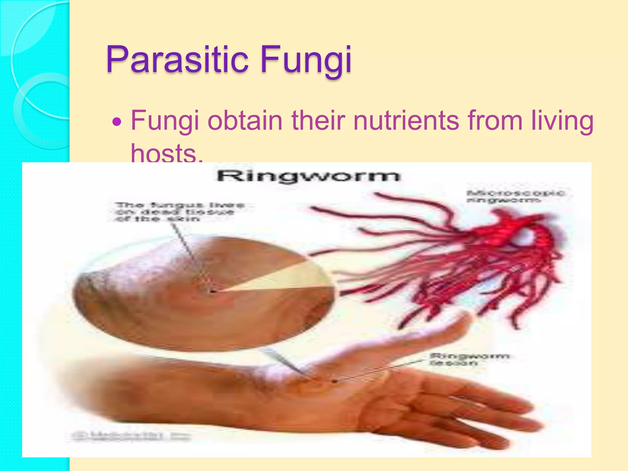 Parasitic Fungi
   Fungi obtain their nutrients from living
    hosts.
 