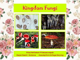 Miss Nattakan Pitaksaowapab
Department : Science Assumption College Rayong
Kingdom Fungi
 