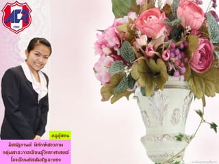 ครูผู้สอน
มิสนัฐกานต์ พิทักษ์เสาวภาพ
กลุ่มสาระการเรียนรู้วิทยาศาสตร์
โรงเรียนอัสสัมชัญระยอง
 