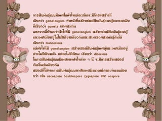 การสืบพันธุ์แบบมีเพศในฟังไจแต่ละชนิดจะมีโครงสร้างที่
เรียกว่า gametangium ทาหน้าที่สร้างเซลล์สืบพันธุ์เพศผู้และเพศเมีย
ที่เรียกว่า gamete เข้าผสมกัน
นอกจากนี้ยังพบว่าฟังไจที่มี gametangium สร้างเซลล์สืบพันธุ์เพศผู้
และเพศเมียอยู่ในไมซิเลียมเดียวกันและสามารถผสมพันธุ์กันได้
เรียกว่า monoecious
แต่ฟังไจที่มี gametangium สร้างเซลล์สืบพันธุ์เพศผู้และเพศเมียอยู่
ต่างไมซีเลียมกัน แต่ละไมซีเลียม เรียกว่า dioecious
ในการสืบพันธุ์แบบมีเพศของฟังไจต่าง ๆ นี้ จะมีการสร้างสปอร์
เกิดขึ้นเช่นเดียวกัน
สปอร์ที่ได้จากการสืบพันธุ์แบบอาศัยเพศมีขนาดเล็กและจานวนน้อย
กว่า เช่น ascospore basidiospore zygospore และ oospore
 