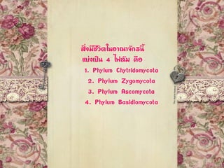 สิ่งมีชีวิตในอาณาจักรนี้
แบ่งเป็น 4 ไฟลัม คือ
1. Phylum Chytridomycota
2. Phylum Zygomycota
3. Phylum Ascomycota
4. Phylum Basidiomycota
 