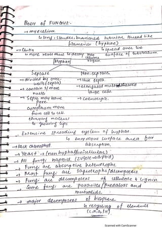 Kingdom Fungi and Bacteria mdcat NEET stuff | PDF