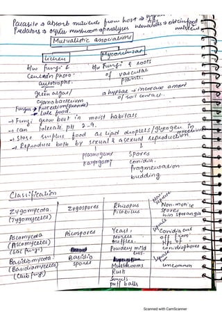 Kingdom Fungi and Bacteria mdcat NEET stuff | PDF