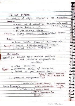 Kingdom Fungi and Bacteria mdcat NEET stuff | PDF