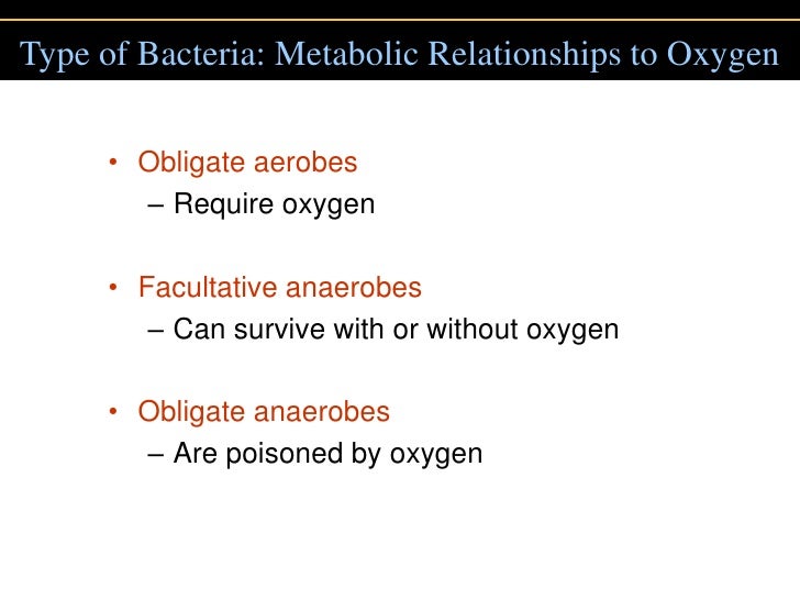 thermophile halophiles methanogens Transcript of 92- bacteria are single-celled organisms without nuclei 92- bacteria are single-celled organisms without halophiles methanogens thermophiles. thermophile halophiles methanogens Transcript of 92- bacteria are single-celled organisms without nuclei 92- bacteria are single-celled organisms without halophiles methanogens thermophiles.
