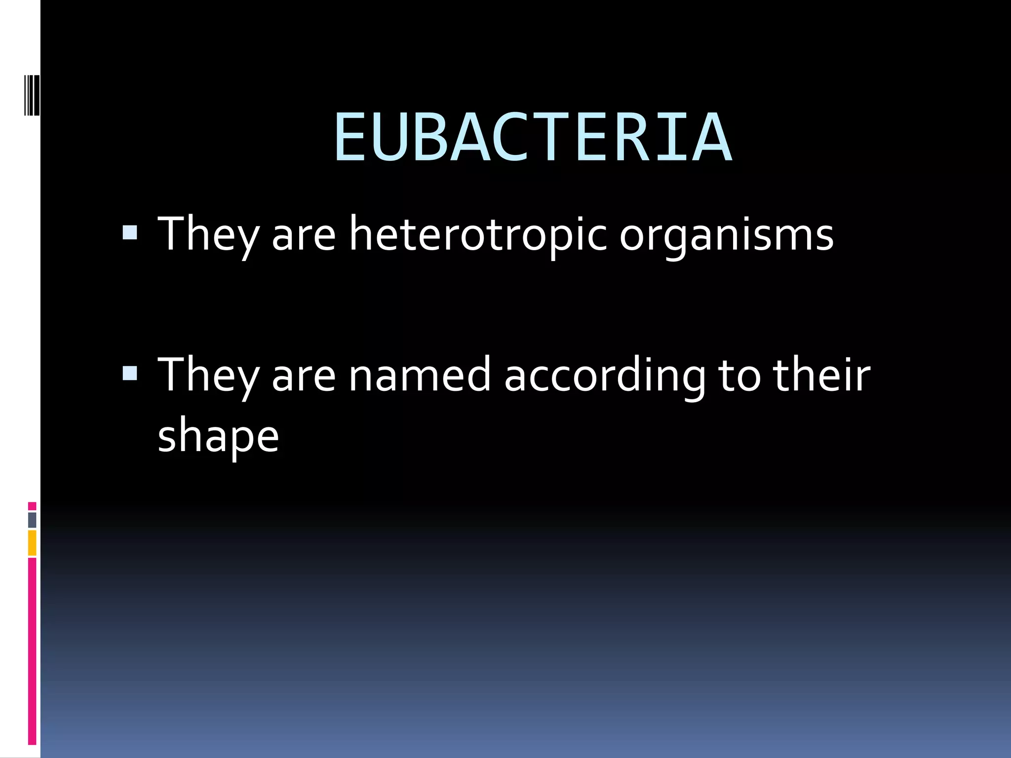 Kingdom monera | PPTX