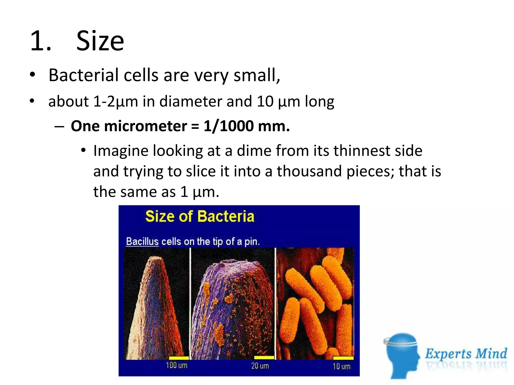 Kingdom monera | PPTX