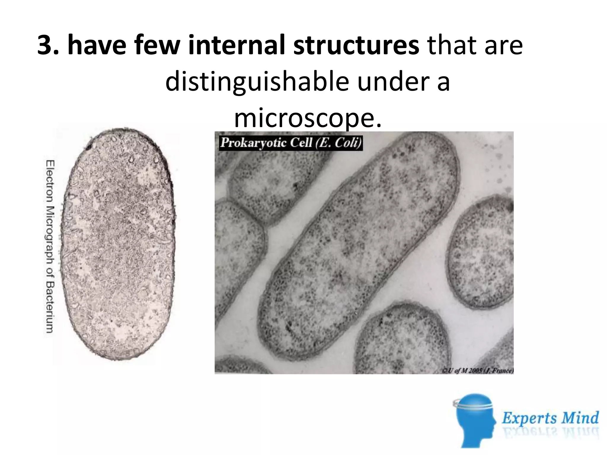 Kingdom monera | PPTX