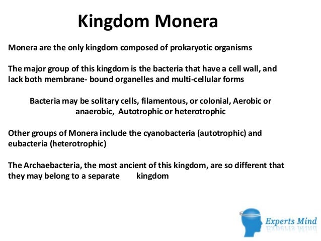Kingdom Monera kingdom-monera