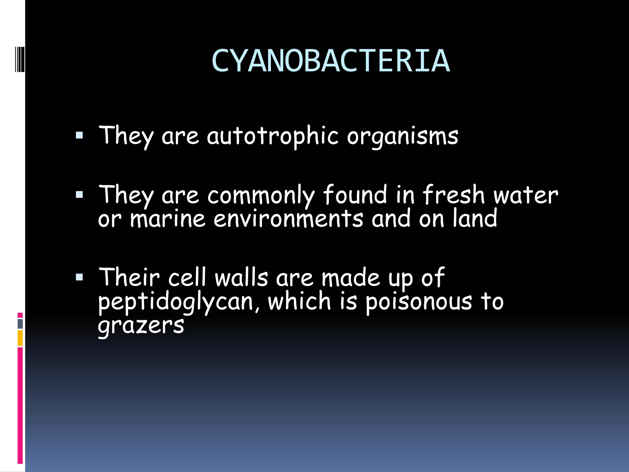 Kingdom monera | PPTX