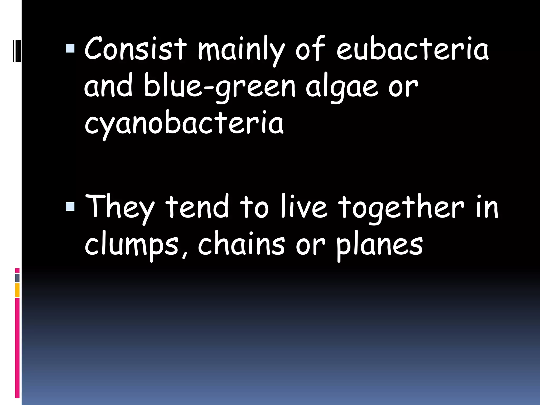 Kingdom monera | PPTX