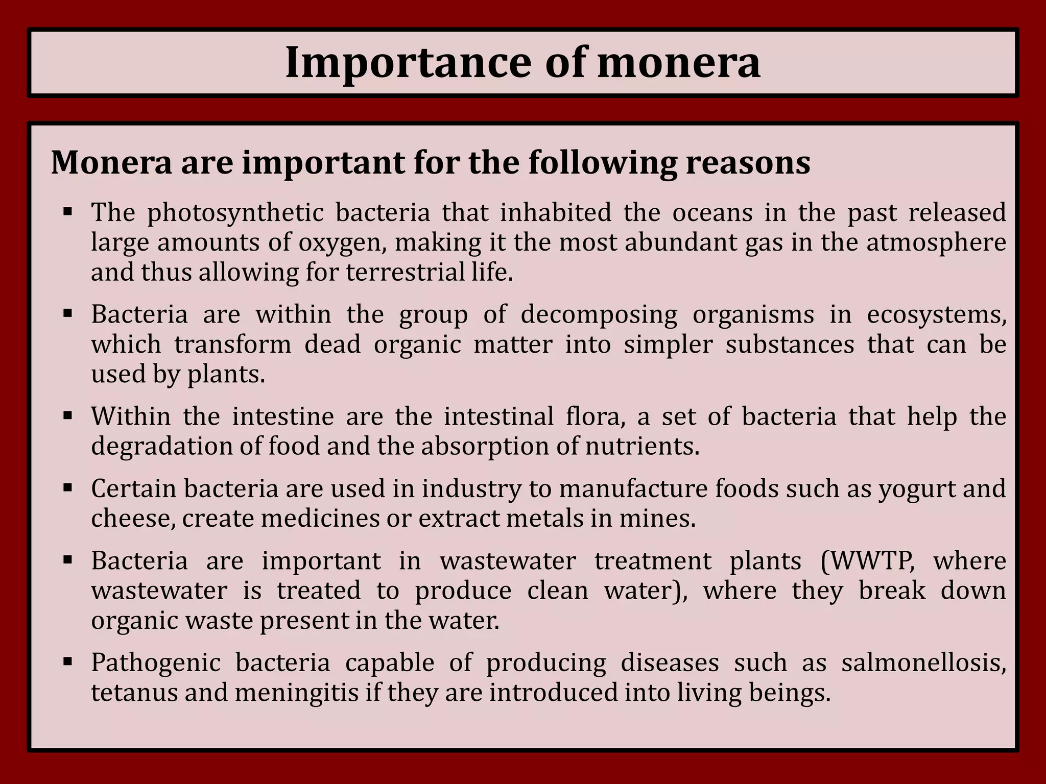 Kingdom Monera | PDF