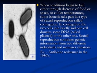 When conditions begin to fail, either through decrease of food or space, or cooler temperatures, some bacteria take part in a type of sexual reproduction called conjugation. In conjugation the two cells join briefly and one cell donates some DNA (called plasmid) to the other one. Sexual reproduction combines genetic information from two different individuals and increases variation. Ex. - Antibiotic resistance in the 1950’s. 
