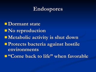 Endospores Dormant state No reproduction Metabolic activity is shut down Protects bacteria against hostile environments “ Come back to life” when favorable 