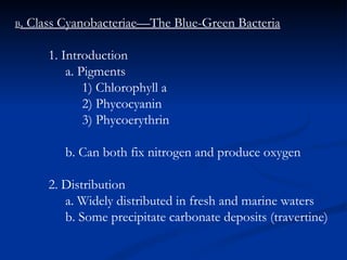 B . Class Cyanobacteriae—The Blue-Green Bacteria 1. Introduction a. Pigments 1) Chlorophyll a 2) Phycocyanin 3) Phycoerythrin b. Can both fix nitrogen and produce oxygen 2. Distribution a. Widely distributed in fresh and marine waters b. Some precipitate carbonate deposits (travertine) 