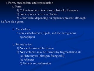 3 . Form, metabolism, and reproduction   a. Form 1) Cells often occur in chains or hair-like filaments 2) Some species occur as colonies 3) Color varies depending on pigments present, although  half are blue-green b. Metabolism •  store carbohydrates, lipids, and the nitrogenous  cyanophycin c. Reproduction 1) New cells formed by fission 2) New colonies may be formed by fragmentation at: a) Heterocysts (nitrogen-fixing cells) b) Akinetes 3) Genetic recombination 