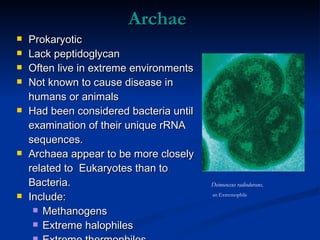 Archae Prokaryotic Lack peptidoglycan Often live in extreme environments Not known to cause disease in humans or animals Had been considered bacteria until examination of their unique rRNA sequences. Archaea appear to be more closely related to  Eukaryotes than to Bacteria.  Include: Methanogens Extreme halophiles Extreme thermophiles Deinococcus radiodurans , an Extremophile 