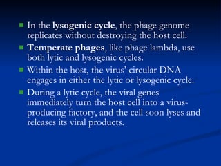In the  lysogenic cycle , the phage genome replicates without destroying the host cell. Temperate phages , like phage lambda, use both lytic and lysogenic cycles. Within the host, the virus’ circular DNA engages in either the lytic or lysogenic cycle. During a lytic cycle, the viral genes immediately turn the host cell into a virus-producing factory, and the cell soon lyses and releases its viral products. 