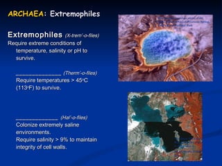 ARCHAEA : Extremophiles Extremophiles   (X-trem’-o-files) Require extreme conditions of temperature, salinity or pH to survive. ______________   (Therm’-o-files) Require temperatures > 45 o C (113 o F) to survive. _____________  (Hal’-o-files) Colonize extremely saline environments. Require salinity > 9% to maintain integrity of cell walls.  Thermophiles produce some of the bright colors of Grand Prismatic Spring, Yellowstone National Park The Great Salt Lake. Red areas color due to halophiles.  Image Credit: USGS gov 