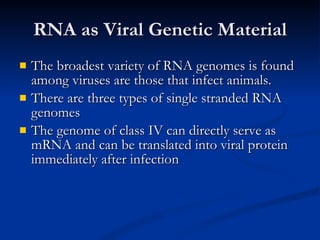 RNA as Viral Genetic Material The broadest variety of RNA genomes is found among viruses are those that infect animals. There are three types of single stranded RNA genomes The genome of class IV can directly serve as mRNA and can be translated into viral protein immediately after infection 