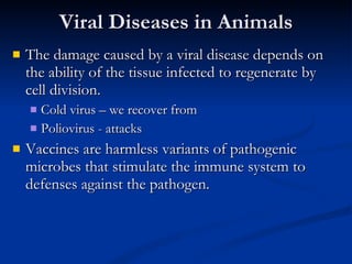 Viral Diseases in Animals The damage caused by a viral disease depends on the ability of the tissue infected to regenerate by cell division. Cold virus – we recover from Poliovirus - attacks Vaccines are harmless variants of pathogenic microbes that stimulate the immune system to defenses against the pathogen. 