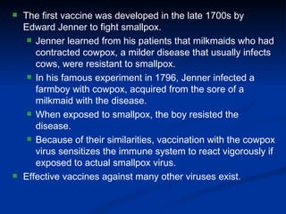 The first vaccine was developed in the late 1700s by Edward Jenner to fight smallpox. Jenner learned from his patients that milkmaids who had contracted cowpox, a milder disease that usually infects cows, were resistant to smallpox. In his famous experiment in 1796, Jenner infected a farmboy with cowpox, acquired from the sore of a milkmaid with the disease. When exposed to smallpox, the boy resisted the disease. Because of their similarities, vaccination with the cowpox virus sensitizes the immune system to react vigorously if exposed to actual smallpox virus. Effective vaccines against many other viruses exist. 