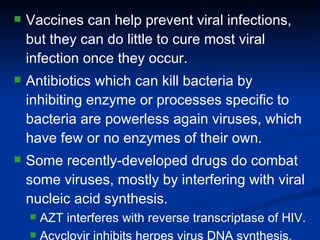 Vaccines can help prevent viral infections, but they can do little to cure most viral infection once they occur. Antibiotics which can kill bacteria by inhibiting enzyme or processes specific to bacteria are powerless again viruses, which have few or no enzymes of their own. Some recently-developed drugs do combat some viruses, mostly by interfering with viral nucleic acid synthesis. AZT interferes with reverse transcriptase of HIV. Acyclovir inhibits herpes virus DNA synthesis. 