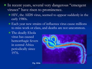 In recent years, several very dangerous “emergent viruses” have risen to prominence. HIV, the AIDS virus, seemed to appear suddenly in the early 1980s. Each year new strains of influenza virus cause millions to miss work or class, and deaths are not uncommon. The deadly Ebola  virus has caused  hemorrhagic fevers  in central Africa  periodically since  1976. Fig. 18.8a 