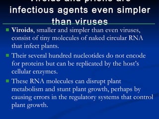 Viroids , smaller and simpler than even viruses, consist of tiny molecules of naked circular RNA that infect plants. Their several hundred nucleotides do not encode for proteins but can be replicated by the host’s cellular enzymes. These RNA molecules can disrupt plant metabolism and stunt plant growth, perhaps by causing errors in the regulatory systems that control plant growth. Viroids and prions are infectious agents even simpler than viruses 
