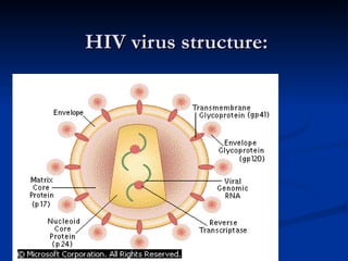 HIV virus structure: 