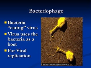 Bacteriophage Bacteria “eating” virus Virus uses the bacteria as a host For Viral replication 