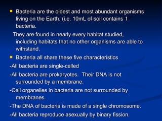 Bacteria are the oldest and most abundant organisms living on the Earth. (i.e. 10mL of soil contains 1  bacteria. They are found in nearly every habitat studied, including habitats that no other organisms are able to withstand. Bacteria all share these five characteristics -All bacteria are single-celled -All bacteria are prokaryotes.  Their DNA is not surrounded by a membrane. -Cell organelles in bacteria are not surrounded by membranes. -The DNA of bacteria is made of a single chromosome. -All bacteria reproduce asexually by binary fission. 