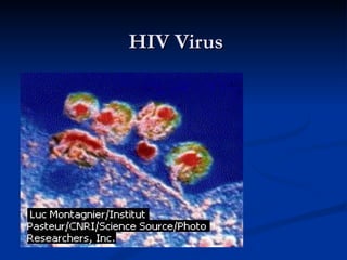 HIV Virus 